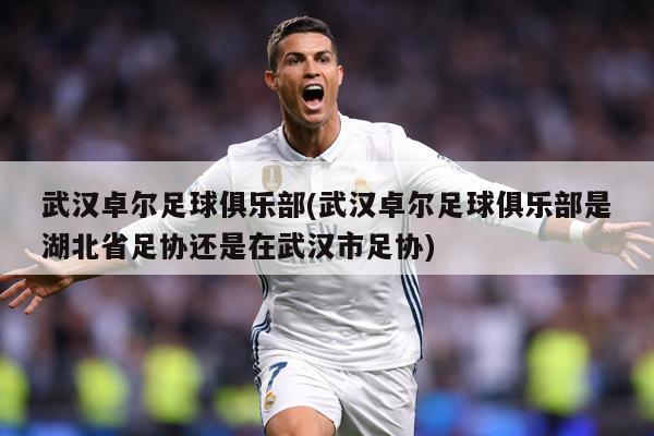 武汉卓尔足球俱乐部(武汉卓尔足球俱乐部是湖北省足协还是在武汉市足协)