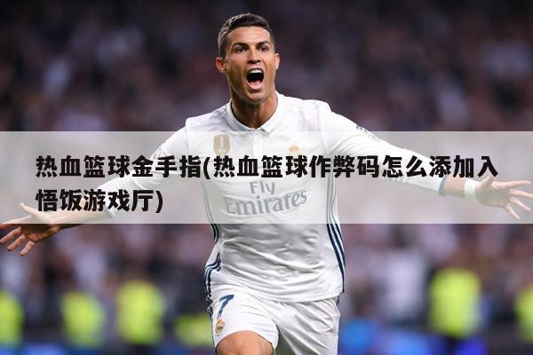 热血篮球金手指(热血篮球作弊码怎么添加入悟饭游戏厅)