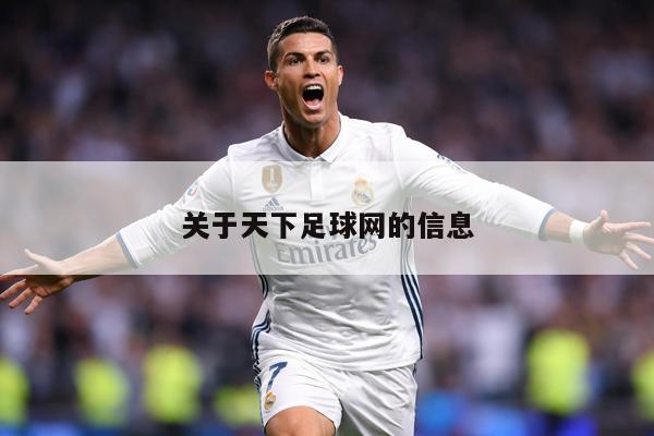 关于天下足球网的信息