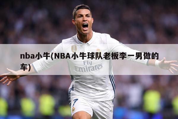 nba小牛(NBA小牛球队老板李一男做的车)