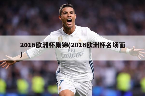 2016欧洲杯集锦(2016欧洲杯名场面)