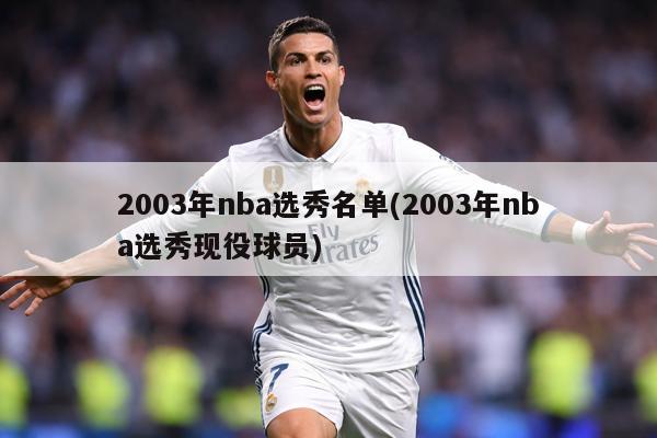 2003年nba选秀名单(2003年nba选秀现役球员)