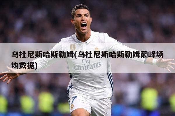 乌杜尼斯哈斯勒姆(乌杜尼斯哈斯勒姆巅峰场均数据)